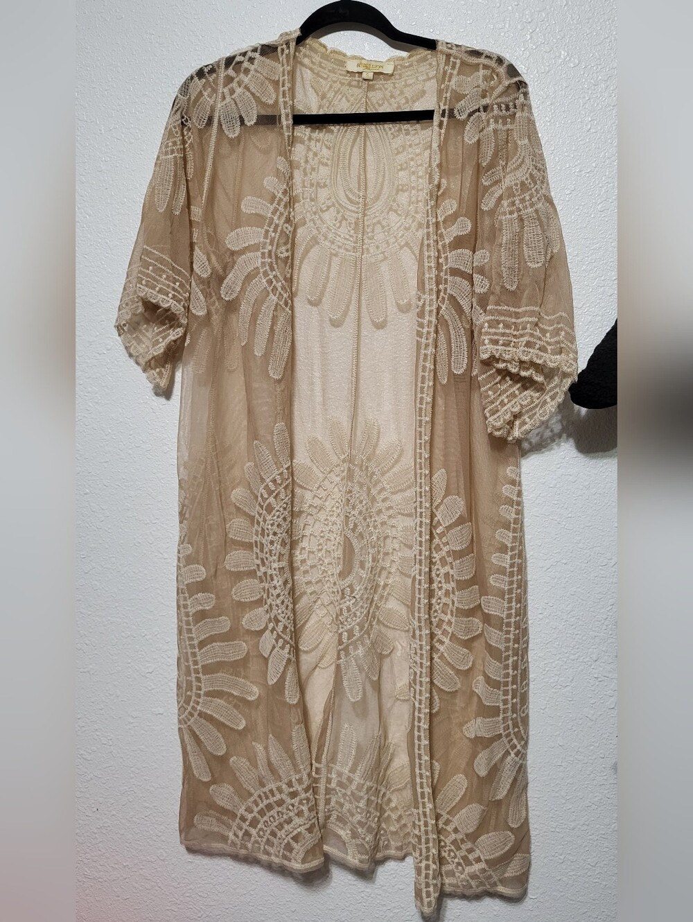 Rebellion Lace-Embroidered Sheer Top in Nude